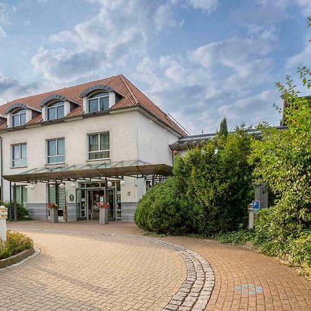 Best Western Hotel Heidehof Hermannsburg Eksteriør bilde